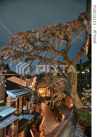 産寧坂（三年坂）のしだれ桜2024春 131013012
