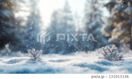 winter pine forest with snow. nature landscape background winter pine forest with snow. nature landscape background 131013136