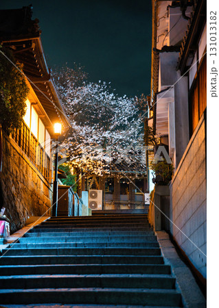 二寧坂（二年坂）のしだれ桜2024春 131013182