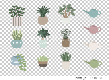 観葉植物とじょうろのセット 131013198