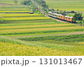 えちごトキめき鉄道の秋 131013467