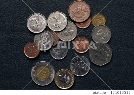 黒いレザーの上のカナダ硬貨 131013513