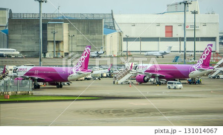 駐機中のピーチアビエーションの飛行機と空港 駐機中のピーチアビエーションの飛行機と空港 131014067