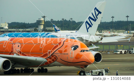 フライングホヌとANAの機体が並ぶ空港 フライングホヌとANAの機体が並ぶ空港 131014088