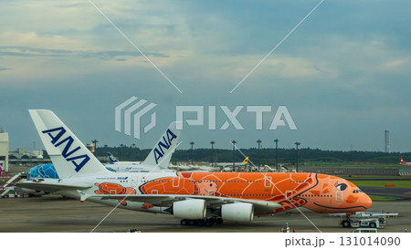 ANAのフライングホヌ 離陸前の機体と空港 ANAのフライングホヌ 離陸前の機体と空港 131014090