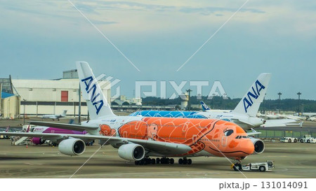 ANAのフライングホヌ 離陸前の機体と空港 ANAのフライングホヌ 離陸前の機体と空港 131014091