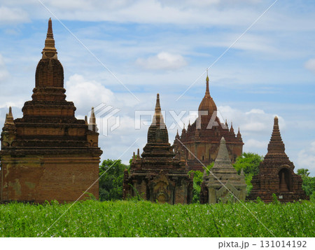 A series of Buddhist Temples behind Green Grass at Bagan in Myanmar A series of Buddhist Temples behind Green Grass at Bagan in Myanmar 131014192