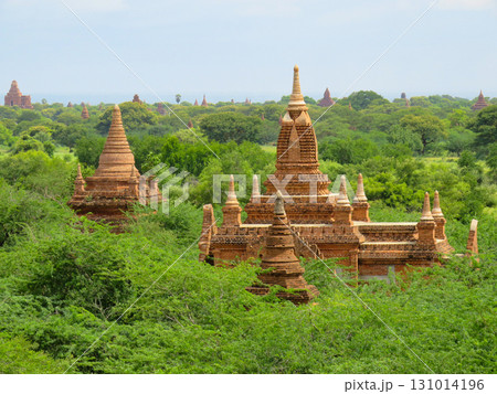 Temple rooftops rising from the jungle in Myanmar Temple rooftops rising from the jungle in Myanmar 131014196
