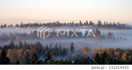 Suburban area of residential houses on foggy morning in British Columbia 131014450