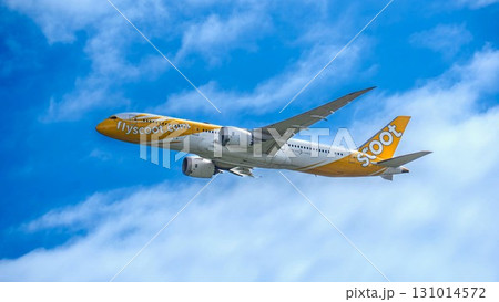 スクートの飛行機 青空を上昇する機体 スクートの飛行機 青空を上昇する機体 131014572