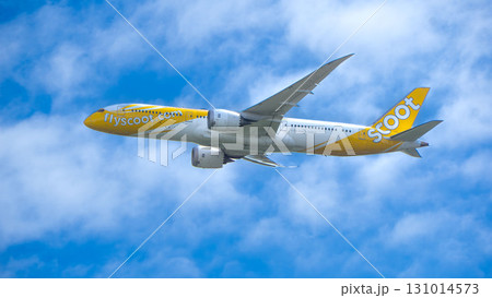 スクートの飛行機 青空を上昇する機体 スクートの飛行機 青空を上昇する機体 131014573