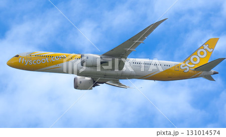 スクートの飛行機 青空を上昇する機体 131014574