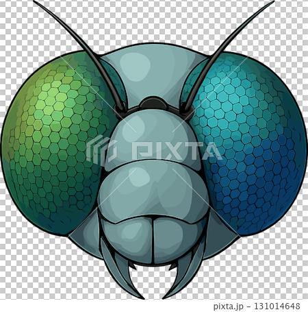 蜻蜓頭插圖 蜻蜓頭插圖 131014648