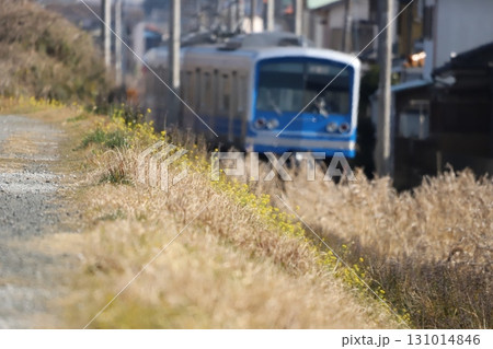 大雄山線　飯田岡駅付近 131014846