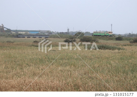 日高本線　キハ40 131015177