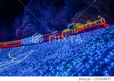 伊豆 イルミネーション 世界一小さい鉄道・ロムニー鉄道 虹の郷 冬 伊豆 イルミネーション 世界一小さい鉄道・ロムニー鉄道 虹の郷 冬 131016637