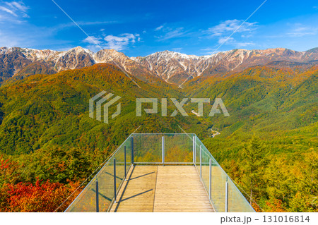 絶景　貴重な三段紅葉の白馬　　 131016814