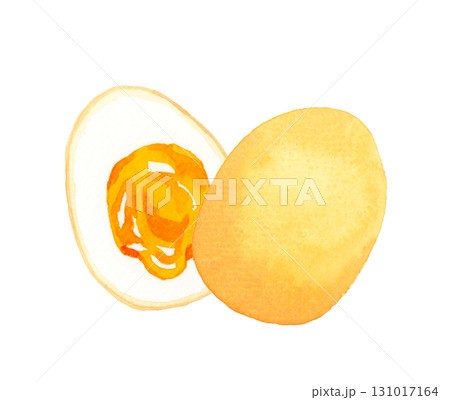 半分にカットした半熟の煮卵（味玉）　卵料理の手描き水彩イラスト素材 131017164