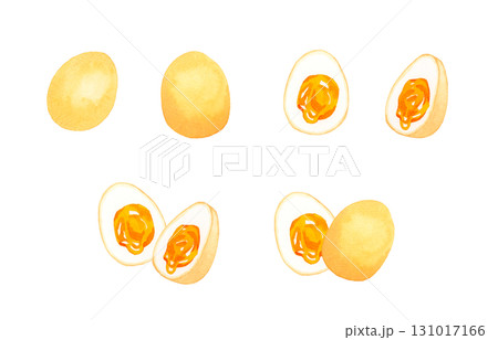 半熟の煮卵（味玉）のセット　卵料理の手描き水彩イラスト素材 131017166