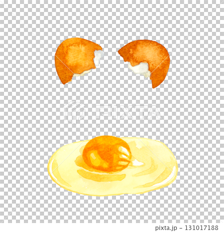 殻を割った赤玉（生卵）　卵料理の手描き水彩イラスト素材 131017188