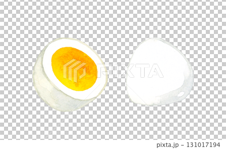 半分に切ったゆで卵　卵料理の手描き水彩イラスト素材 131017194