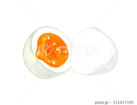 半分に切ったゆで卵（半熟）　卵料理の手描き水彩イラスト素材 131017195