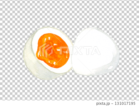 半分に切ったゆで卵（半熟）　卵料理の手描き水彩イラスト素材 131017195