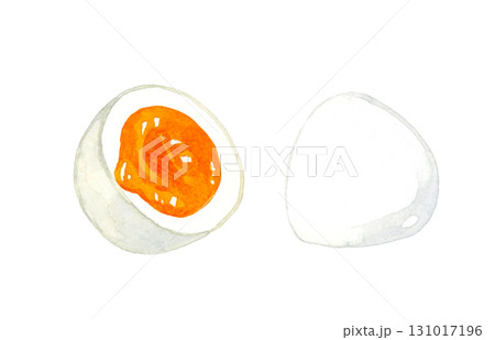 半分に切ったゆで卵（半熟）　卵料理の手描き水彩イラスト素材 131017196