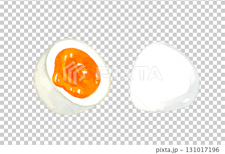 半分に切ったゆで卵（半熟）　卵料理の手描き水彩イラスト素材 131017196