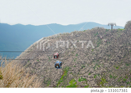 箱根　大涌谷 131017381