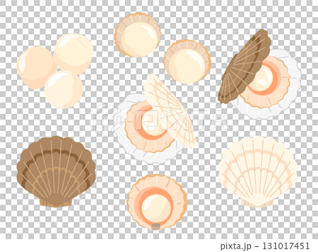 ほたて貝のイラストのセット 131017451