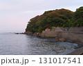 海岸にある小屋 131017541