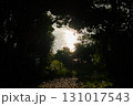 木陰からのぞく海面 131017543