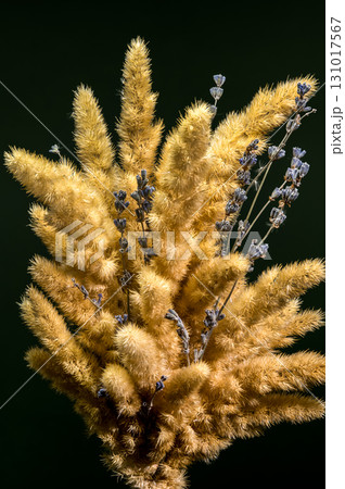 Rustic Dried Grass and Lavender Bouquet on Black Rustic Dried Grass and Lavender Bouquet on Black 131017567