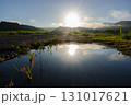 水たまりに映る朝日 131017621