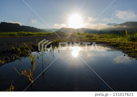 水たまりに映る朝日 131017621