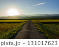 朝日が昇る田園風景 131017623