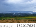 収穫を終えた水田 131017625
