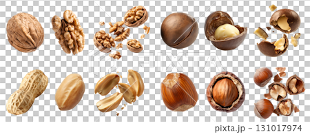 Collection of 4 nut seed fruit kernel, Macadamia, Walnut, peanut groundnut, Hazelnut cobnuts filberts in husk shell unshelled on transparent cutout PNG. Mockup template 131017974