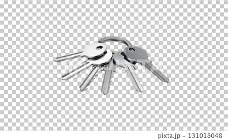 Shiny metal key chain on loop for home security, isolated on white background. 131018048