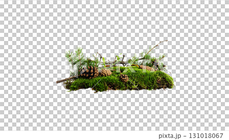 Fresh green moss isolated on white background Fresh green moss isolated on white background 131018067