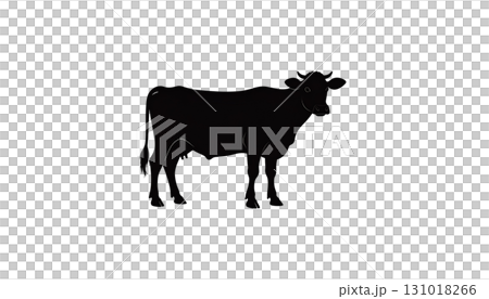 Cow and calf isolated on white background 131018266