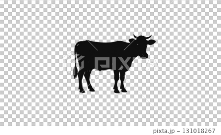 Cow and calf isolated on white background 131018267