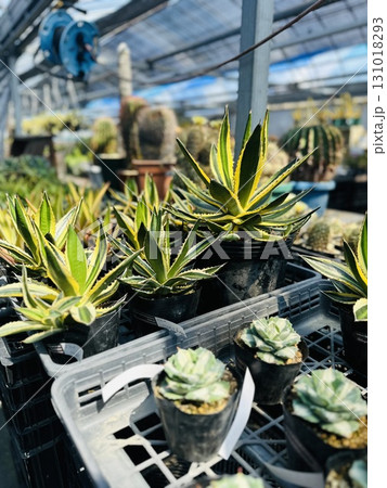 ガーデンハウス 131018293