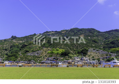 八幡浜みなっと広場とみかんの段々畑の夏風景 131018393