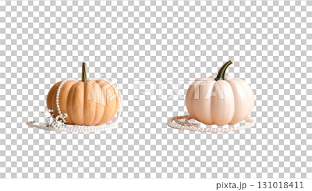 Autumn pumpkin with stem on white background 131018411