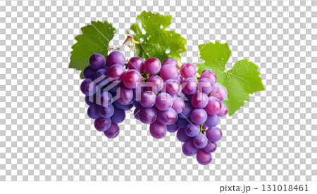 A bunch of bright red grapes isolated on a white background. A bunch of bright red grapes isolated on a white background. 131018461