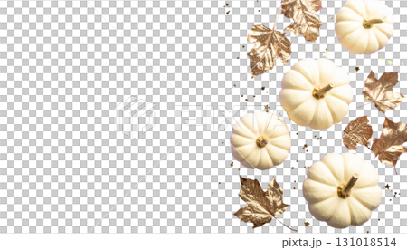 Beautiful pumpkin icon illustration isolated on white background. 131018514