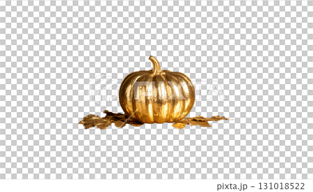Beautiful pumpkin icon illustration isolated on white background. Beautiful pumpkin icon illustration isolated on white background. 131018522