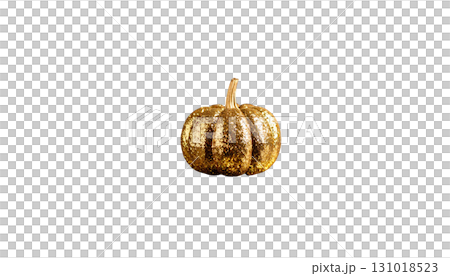 Beautiful pumpkin icon illustration isolated on white background. Beautiful pumpkin icon illustration isolated on white background. 131018523